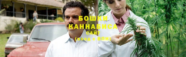 дурь Козельск