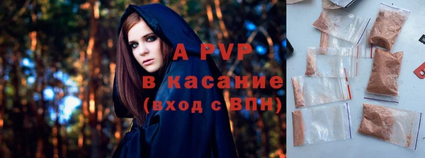 сатива Козловка