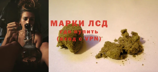 сатива Козловка