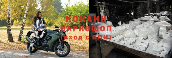 сатива Козловка
