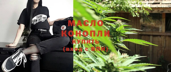 сатива Козловка