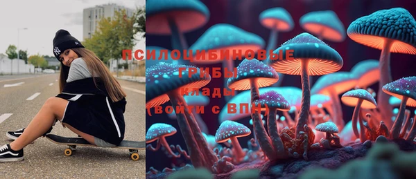 сатива Козловка