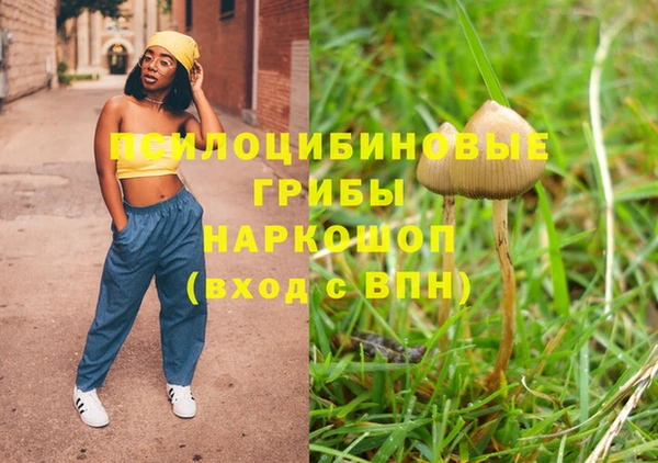 дурь Козельск