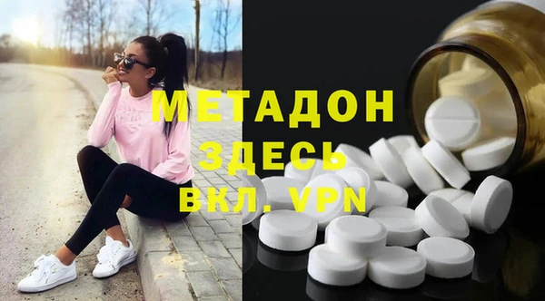 сатива Козловка
