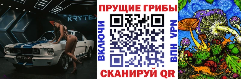 Псилоцибиновые грибы ЛСД  Купить где  Бокситогорск 