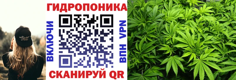 Купить  Бокситогорск  Бошки марихуана Amnesia 